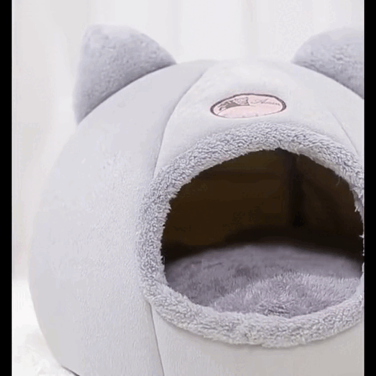 𝘁𝗲𝗻𝘁𝗲 𝗽𝗼𝘂𝗿 𝗰𝗵𝗮𝘁 𝗲𝘁 𝗰𝗵𝗶𝗲𝗻 (🔥 𝗹𝗶𝘃𝗿𝗮𝗶𝘀𝗼𝗻 𝗴𝗿𝗮𝘁𝘂𝗶𝘁🎁 )